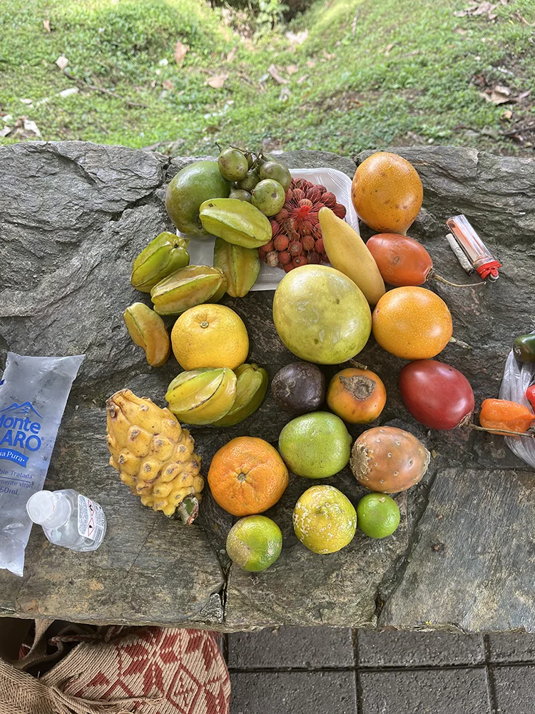 Frutas colombianas preparadas para una cata sensorial en Medellín