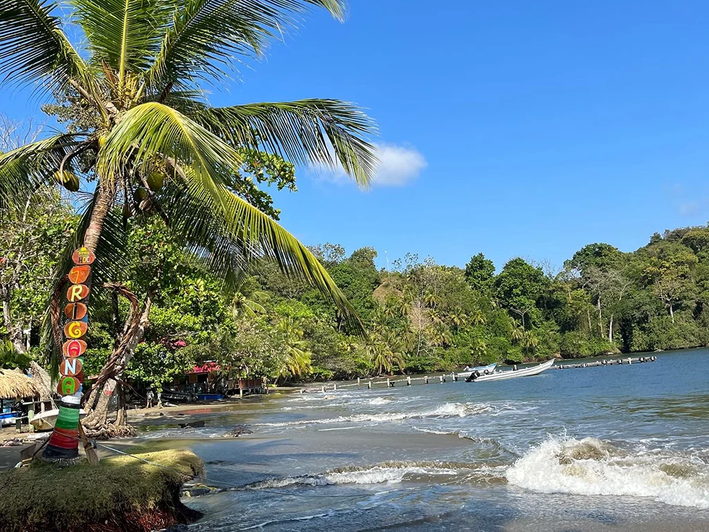 Bahía de Triganá rodeada de palmeras y selva en el Golfo de Urabá