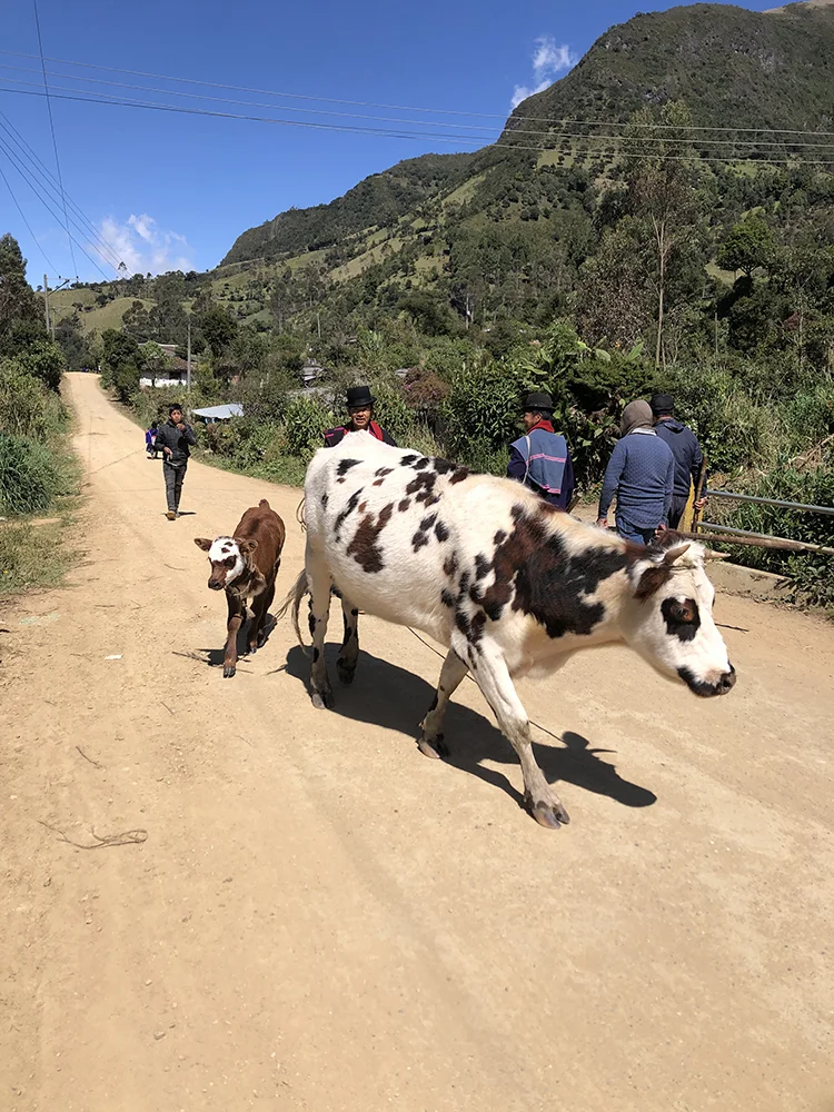 Camino rural en territorio Misak cerca de Silvia, Cauca